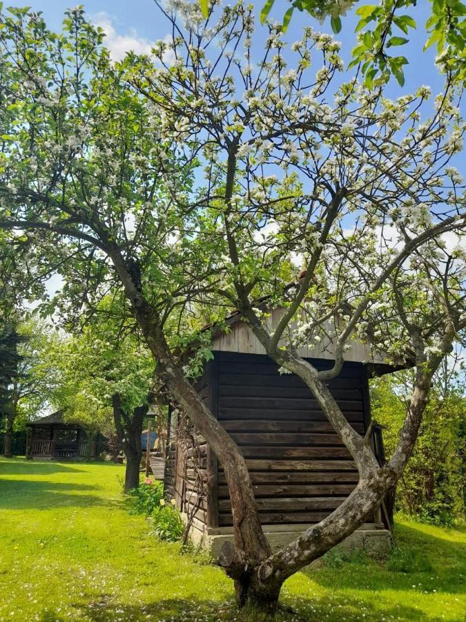 Agroturystyka Stokrotka Rymanów-Zdrój Exterior foto