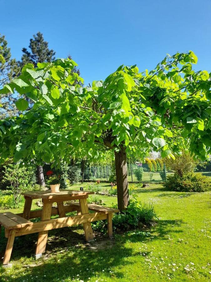 Agroturystyka Stokrotka Rymanów-Zdrój Exterior foto